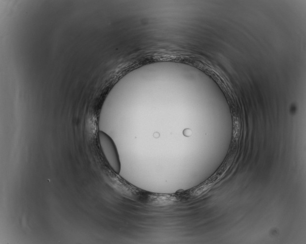 X0000100840621200806200740