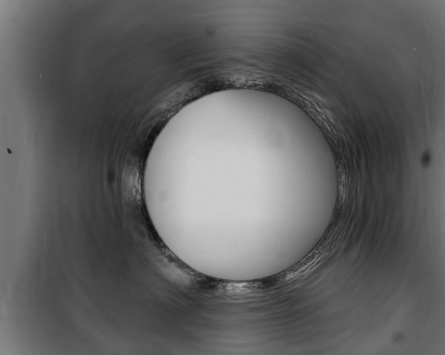 X0000100840622200806200740