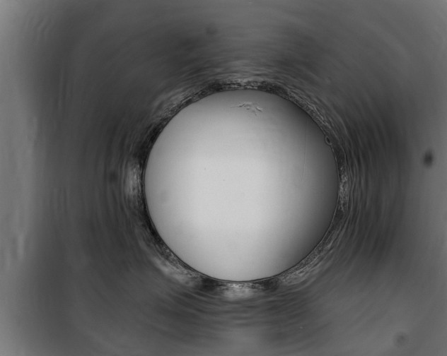 X0000100840623200806200740