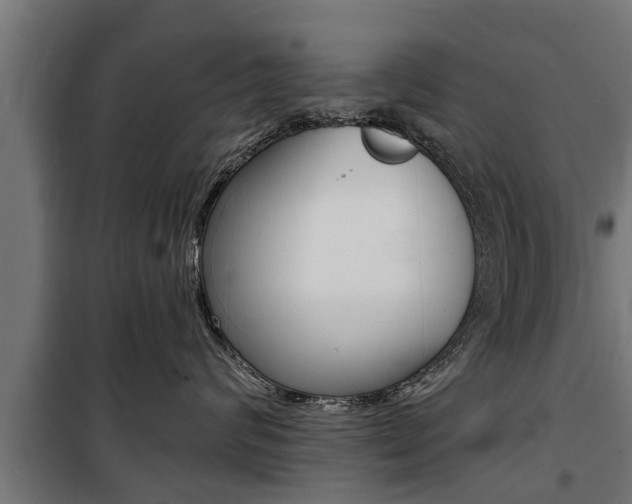 X0000100840624200806200740