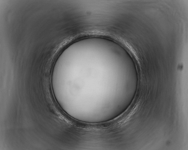 X0000100840625200806200739