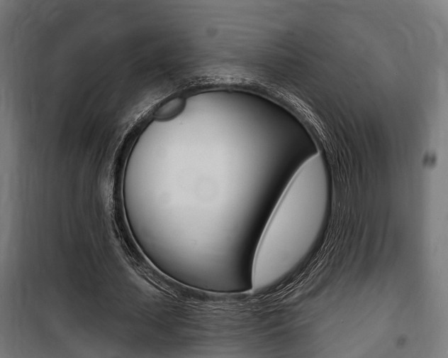 X0000100840627200806200739