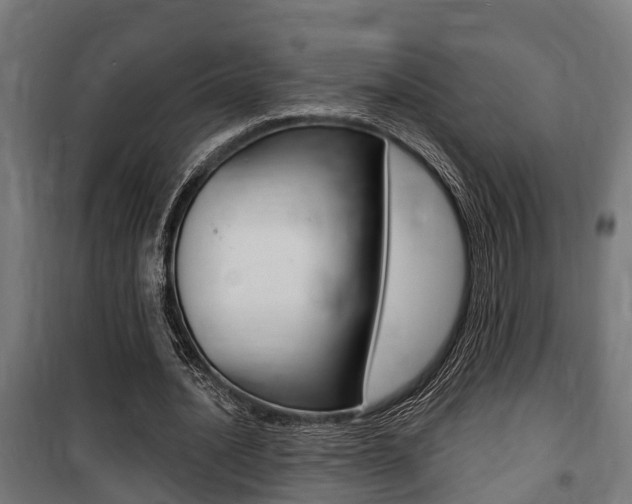 X0000100840628200806200739