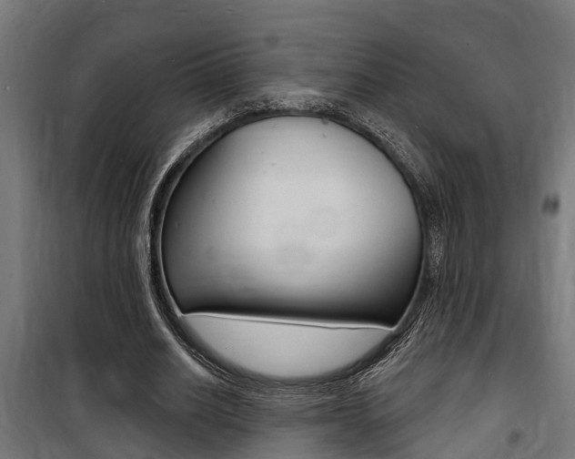 X0000100840630200806200739