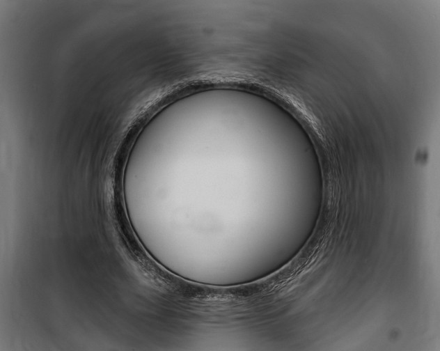 X0000100840631200806200739