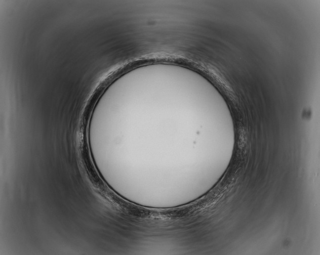 X0000100840632200806200739