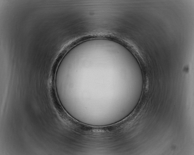 X0000100840636200806200739