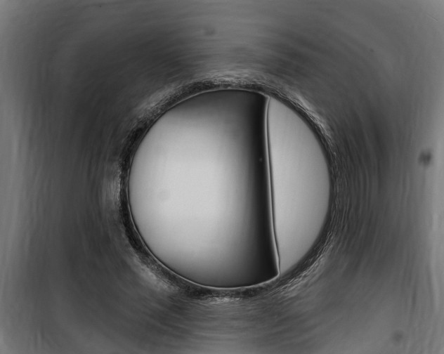 X0000100840637200806200739