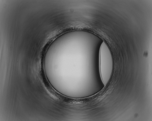 X0000100840638200806200739