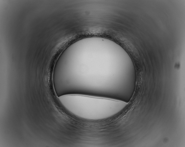 X0000100840640200806200739