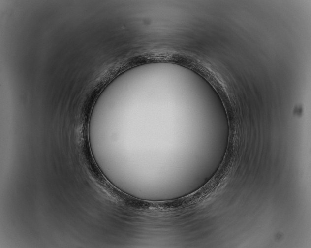 X0000100840641200806200739