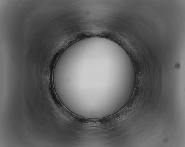 X0000100840642200806200739