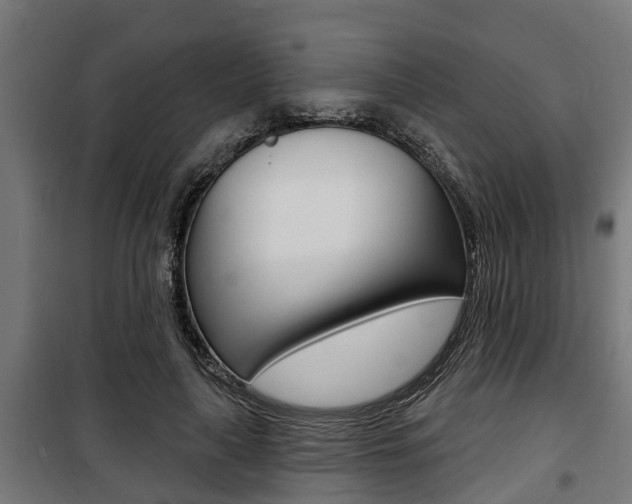 X0000100840643200806200739