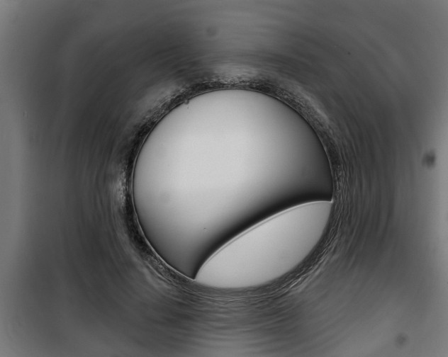 X0000100840644200806200739