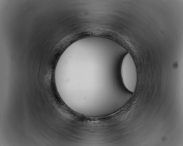 X0000100840645200806200739