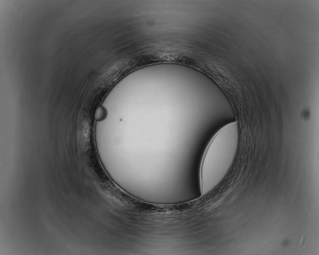 X0000100840646200806200739