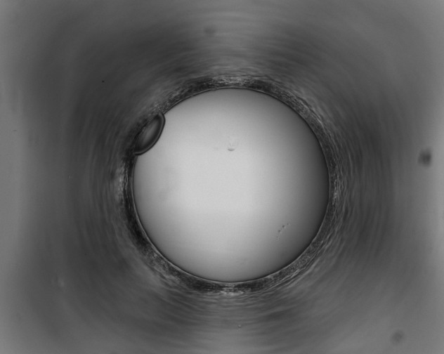 X0000100840647200806200739