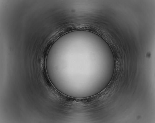 X0000100840648200806200739