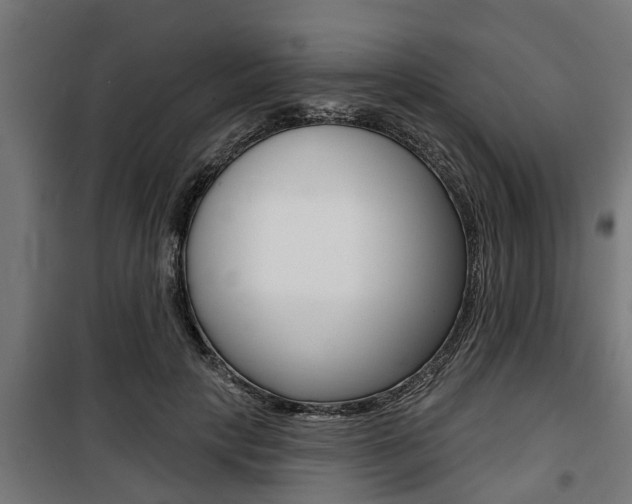 X0000100840649200806200739