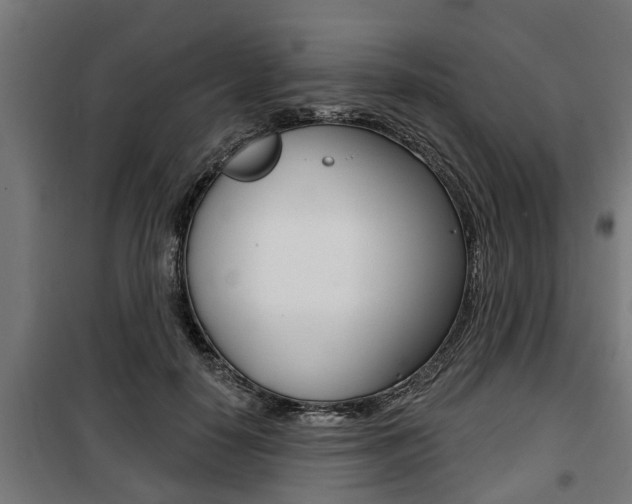 X0000100840650200806200739