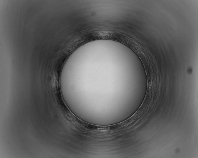 X0000100840651200806200739