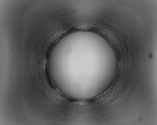 X0000100840652200806200739