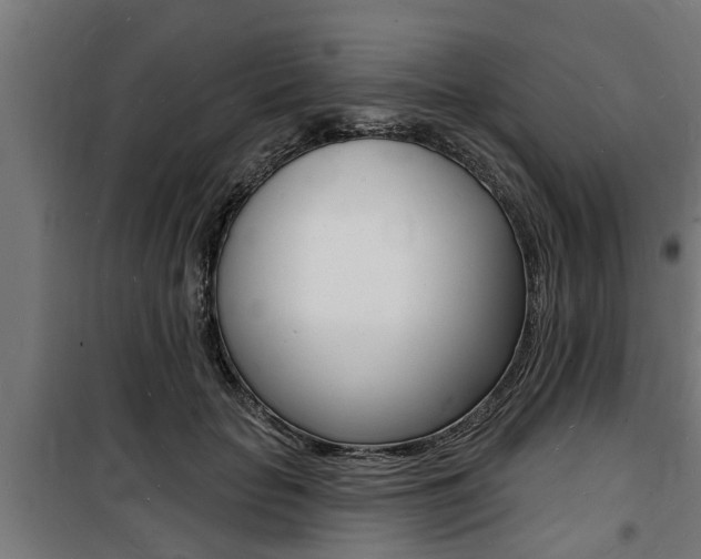 X0000100840653200806200739