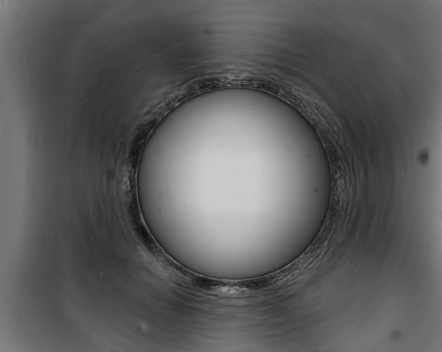 X0000100840654200806200739