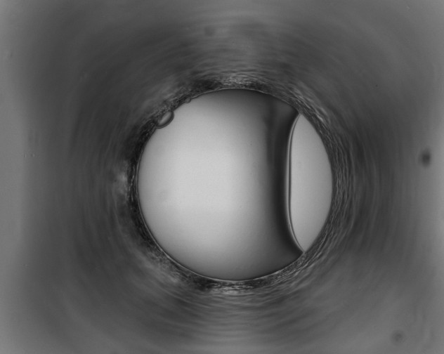 X0000100840655200806200739