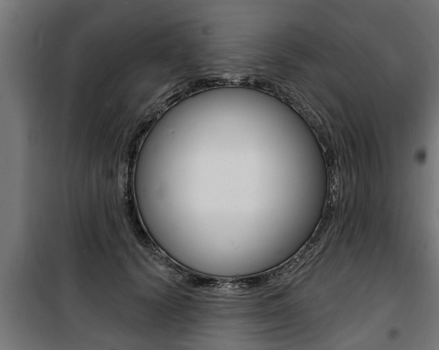 X0000100840656200806200739