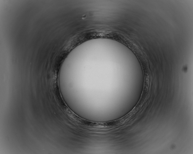 X0000100840657200806200739