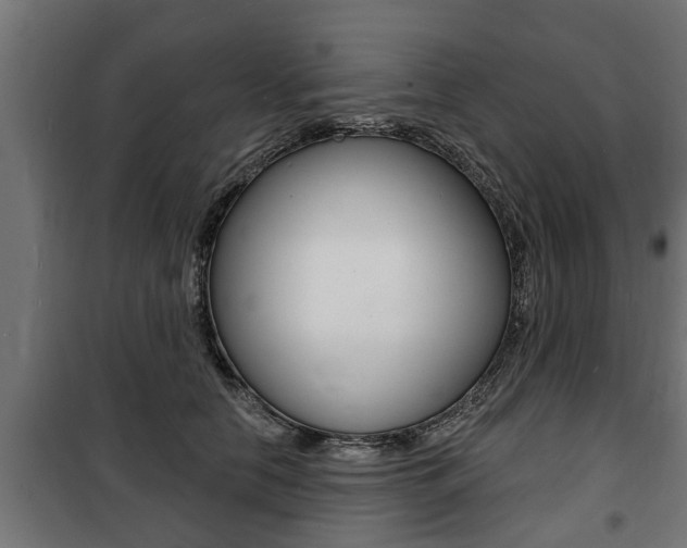 X0000100840658200806200739