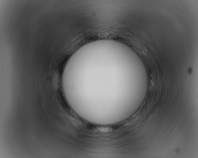 X0000100840659200806200739