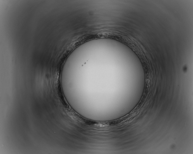 X0000100840660200806200739