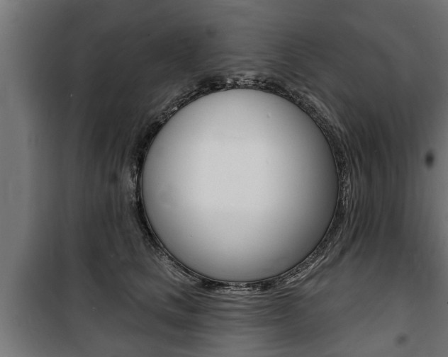 X0000100840661200806200739