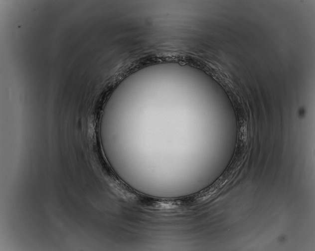 X0000100840662200806200740