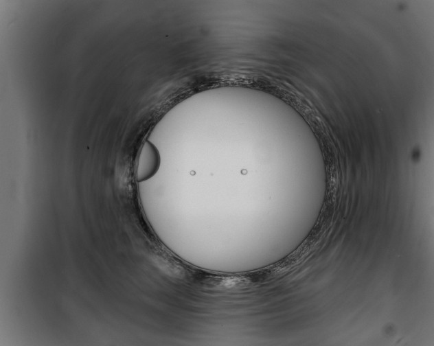 X0000100840663200806200740