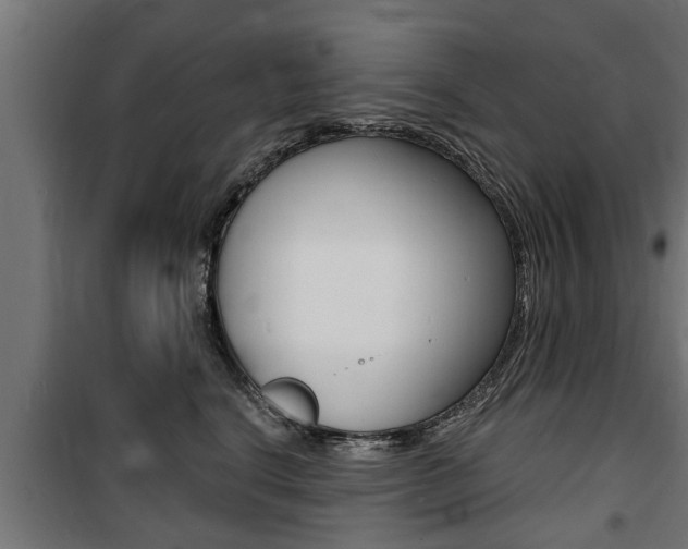 X0000100840664200806200740