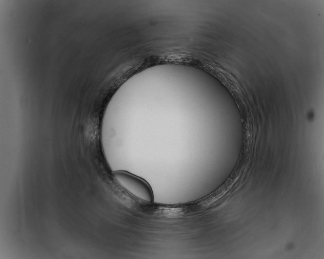 X0000100840665200806200740