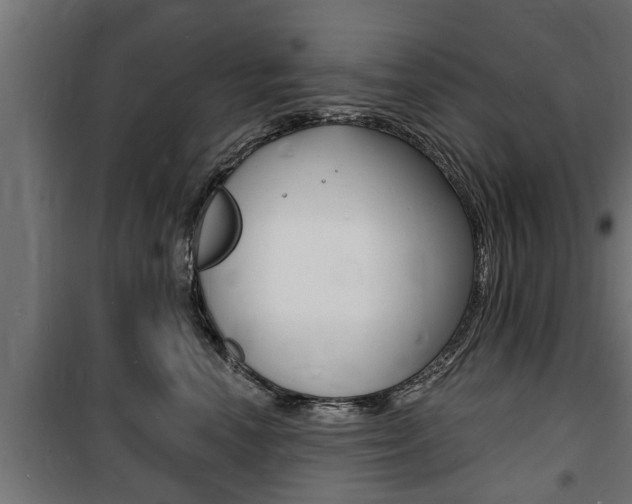 X0000100840666200806200740