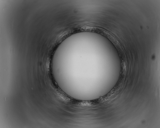 X0000100840668200806200740