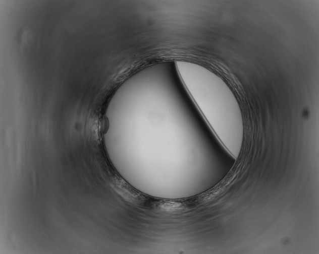 X0000100840669200806200740