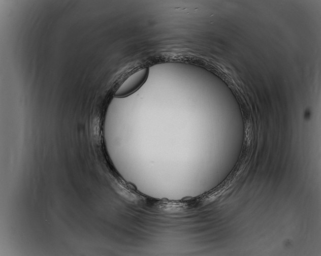 X0000100840670200806200740