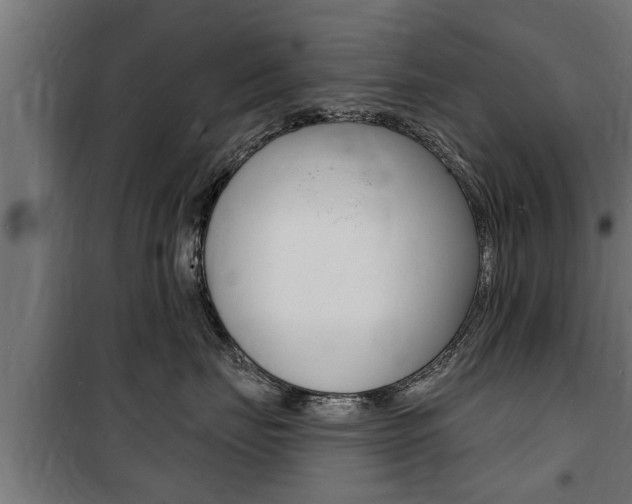 X0000100840671200806200740