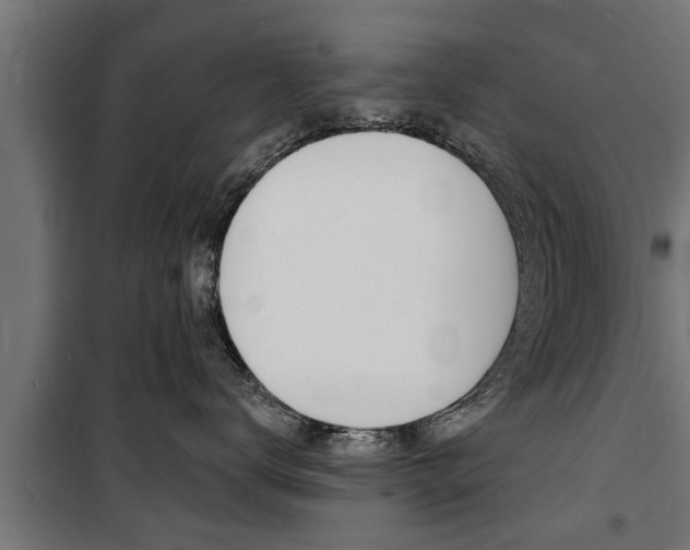 X0000100840672200806200740