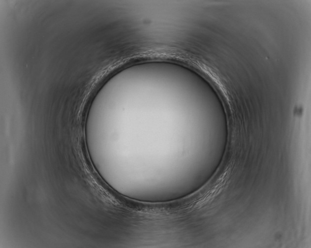 X0000100840673200806200739