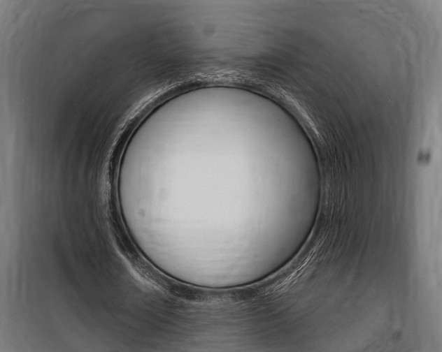 X0000100840674200806200739