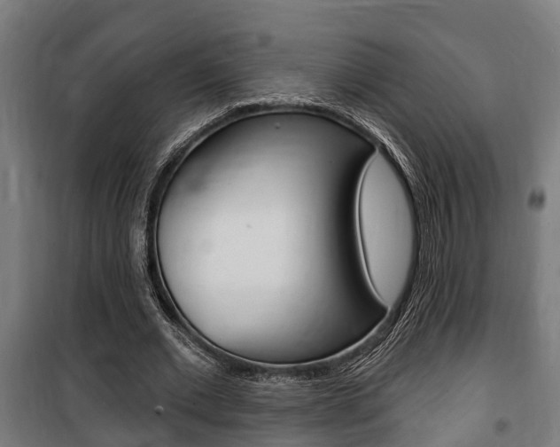 X0000100840677200806200739