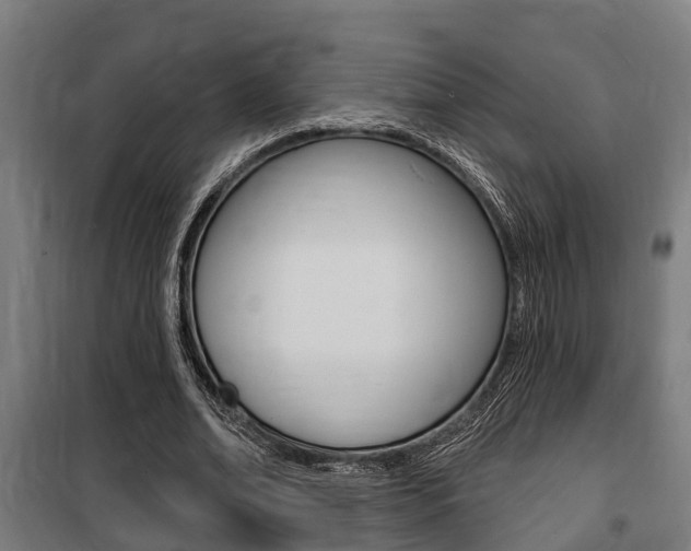 X0000100840678200806200739