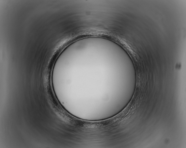 X0000100840679200806200739